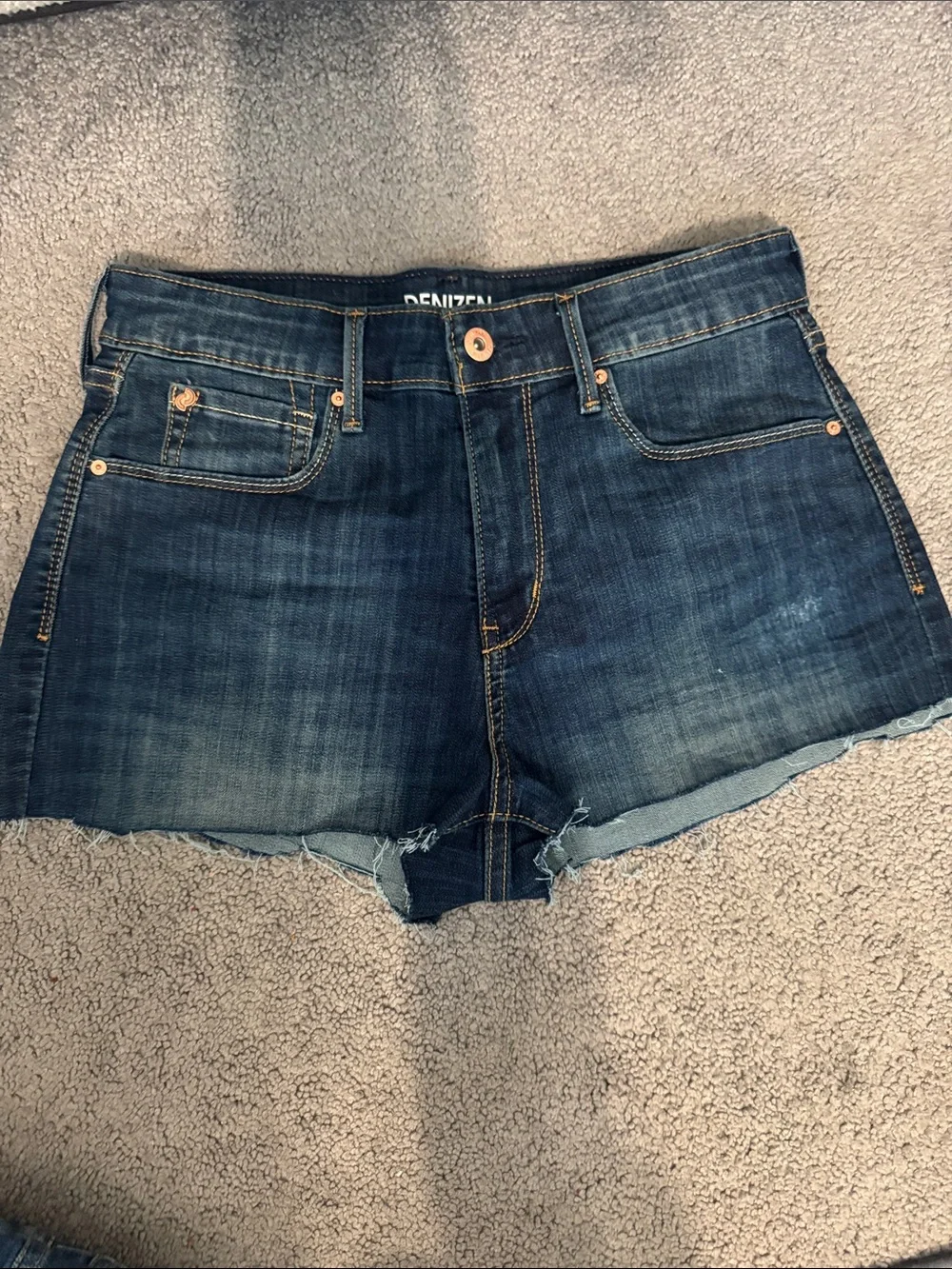 Denizen from Levis denizen from